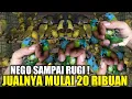 Download Lagu MENGKHAWATIRKAN ! KIOS PESAING BARU HARGA JUALNYA MAKIN UGAL UGALAN PANTESAN VIRAL SATU PRAMUKA