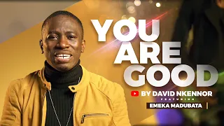 you are good official video david nkennor feat emeka madubata