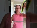 Oh no my snake plant is broken let s propagate
