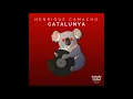 Download Lagu Henrique Camacho - Catalunya (Original Mix)