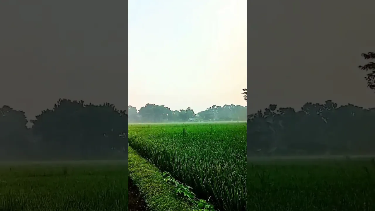 ওই ব্যক্তি শ্রেষ্ঠ পাপি যে পাপের পারে তওবা করে #mizanur_rahman_azhari poster