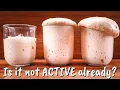 Why Do You Have to Activate Active Dry Yeast