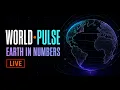 LIVE World Population Global Statistics in Real Time Earth in Numbers