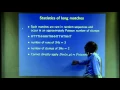 Fundamentals of Stringology II Probability and Statistics for Sequence Alignment