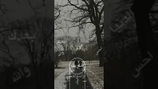 اغنية يمر طاريك تصميمي بدون حقوق 