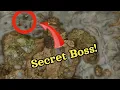 3 More Hidden Locations You probably Haven t Been in Elden Ring Shadow of The Erdtree