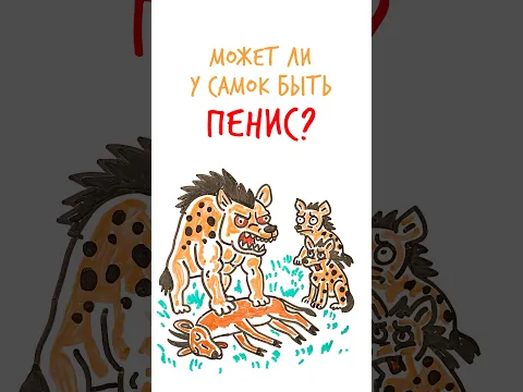 Может ли у САМОК быть 🍌? #шортс