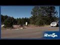 Christmas tree permits up for grabs at forests across Colorado