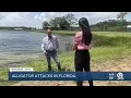 Gator trapper offers tips for staying safe