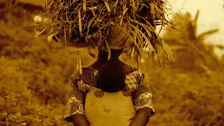 boddhi satva feat e man sweet brown sugar eltonnick remix 