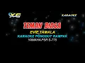 Download Lagu TEMAN BIASA - EVIE TAMALA KARAOKE TANPA VOKAL (High Quality AUDIO)