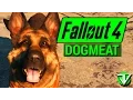 FALLOUT 4 Dogmeat COMPANION Guide Everything You Need to Know About Dogmeat