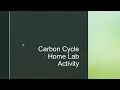 Carbon cycle lab activity