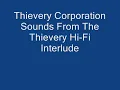 Thievery Corporation - Interlude