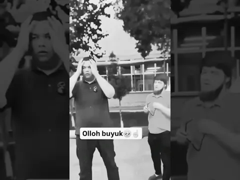 🤫 OLLOX BUYUK