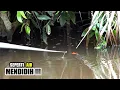 Download Lagu Umpan pemancing baru turun air dispot langsung mendidih  #SG-453