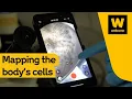 How to map the human body Wellcome