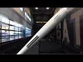 Bonesaber WOOD BAT Review