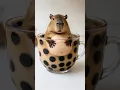 Download Lagu capybara washing his belly in a bubble tea 🧋