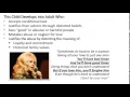 Finally an Explanation for Codependency and Narcissism