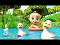 Download Lagu Lima bebek kecil - Five Little Duck | Lagu Anak Kompilasi Indonesia | LooLoo Indonesia
