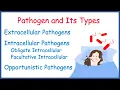 Pathogen Types of Pathogen Extracellular Intracellular Opportunistic Examples