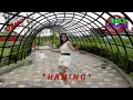 Download Lagu Haning. Novie Mentaya
