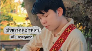 บ่พลาดดอกหล่า - เต๊ะ ตระกูลตอ [ Demo เพลง ]