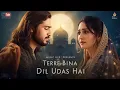Download Lagu Tere Bina Dil Udaas Hai | Heart Touching Sufi Qawwali | Emotional Sufi Song | Nusrat Style
