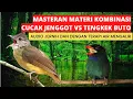 Download Lagu masteran burung juara materi kasar kombinasi cucak jenggot vs tengkek buto
