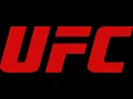 OFFICIAL SCORECARDS UFC 299