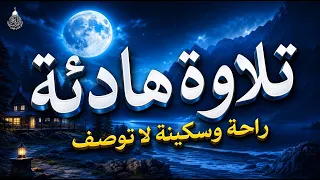 قرآن كريم للمساعدة على نوم عميق بسرعة   قران كريم بصوت جميل جدا جدا قبل النوم    راحة نفسية لا توصف دندنها