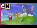 Download Lagu Tom and Jerry 😺🐭| The Great Cat \u0026 Mouse Saga! 🐱🐭 | Compilation | Cartoon for Kids | @cnindia