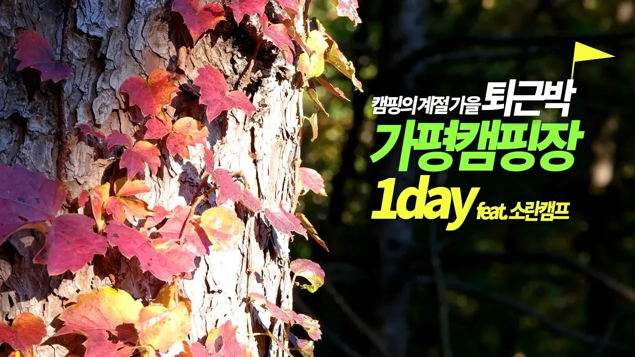 캠핑의 계절 가을, 금요일 퇴근박으로 떠났던 캠핑 가을여행! 가평 캠핑장 첫째날 (ft. 소란캠프) 썸네일