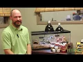 Bearded Dragon Diet and Nutrition Fluker Farms