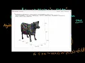 Using the Random Walk Metropolis algorithm to sample from a cow surface distribution