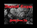 Bastard Corpse- SCREAMING AT SHADOWS(in Enemy Territory)