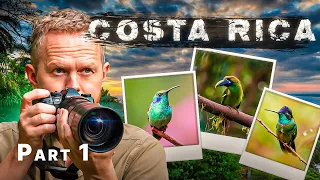 Download Finding Wildlife in Costa Rica part 1 - the Resplendent Quetzal MP3