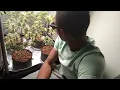 North Atlantic Seed co - grow Grow GROW