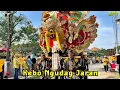 Download Lagu KEBO NGUDAG JARAN -Voc. MAS BROW | SINGA DEPOK PUTRA PAI MUDA (PPM)| PAREAN JONGOR - KANDANGHAUR IM.