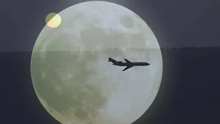 roy mor the echo song video
