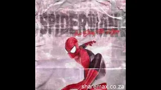 swarrayhills ft stezy the hippy spiderman