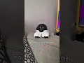 Long distance is easy! 🥹💕 #robot #boyfriend #longdistance #home