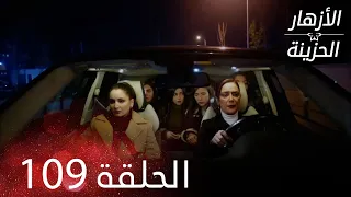 الأزهار الحزينة الحلقة 109 كاملة Kırgın Çiçekler 