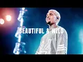 Download Lagu Chris Brown - Beautiful \u0026 Wild ft. Rihanna (2025)