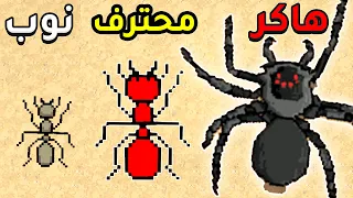 محاكي النملة                                 دندنها
