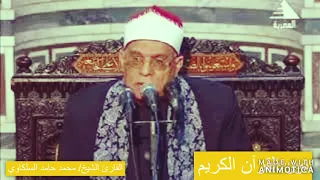 تلاوة جميلة من سورة طه القارئ الشيخ محمد حامد السلكاوي   دندنها