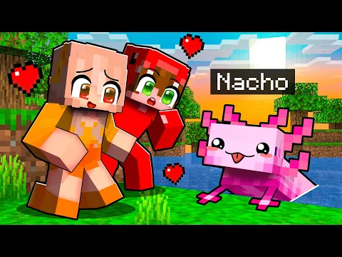 Video Thumbnail: Jugando Como un BEBÉ AJOLOTE Amistoso en Minecraft!
