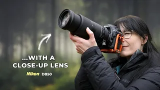 Finding Small Stories in a Leafless Landscape: Winter Woodland Vlog #2