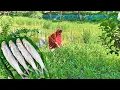 Download Lagu মাঠ থেকে কুলেখাড়া শাক তুলে চিংড়ি আলু বেগুন দিয়ে চচ্চড়ি রান্না I চ্যালা মাছের কচু দিয়ে ঝাল রান্না I